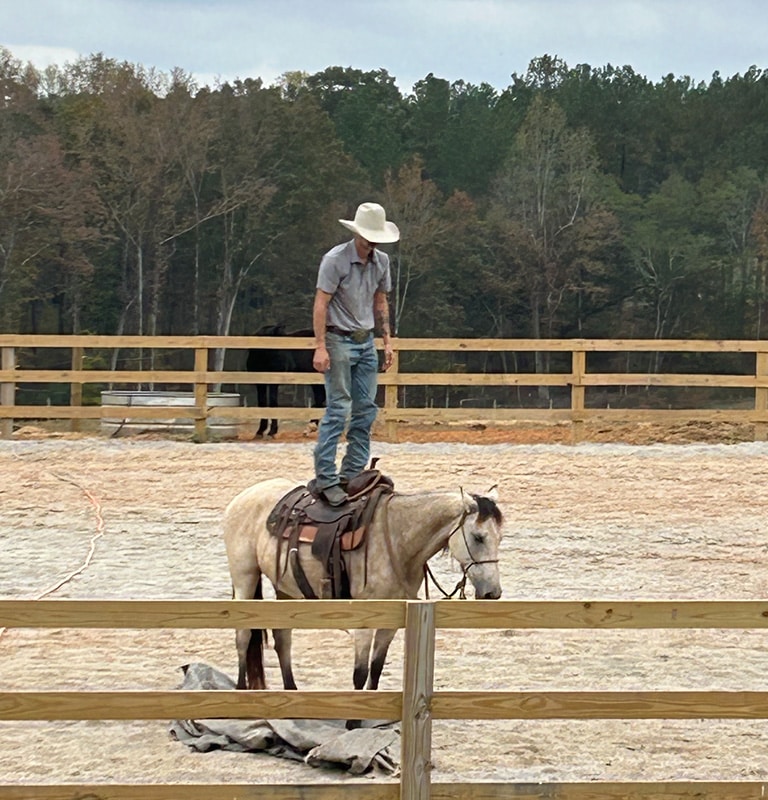 Top Line Livestock - Hunter Standing on Horse
